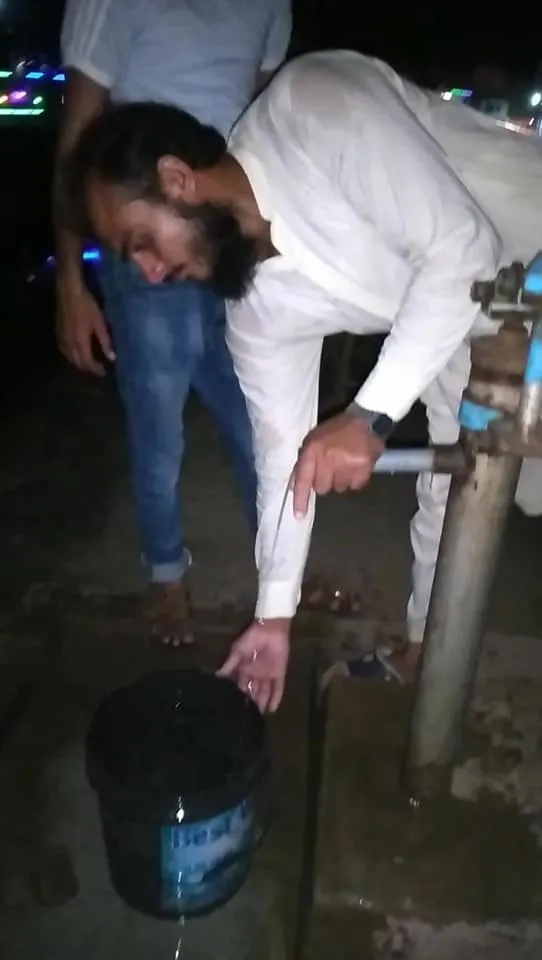 Green Seekers Activity